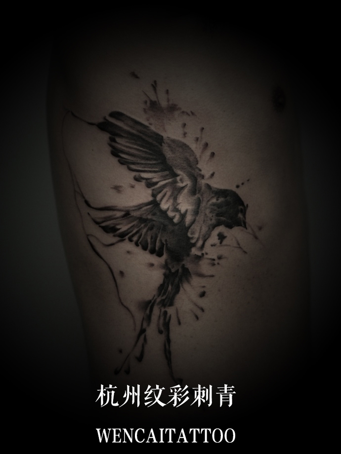 杭州的钱先生侧腰小鸟纹身图案