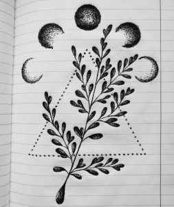 麹先生星球树叶纹手稿