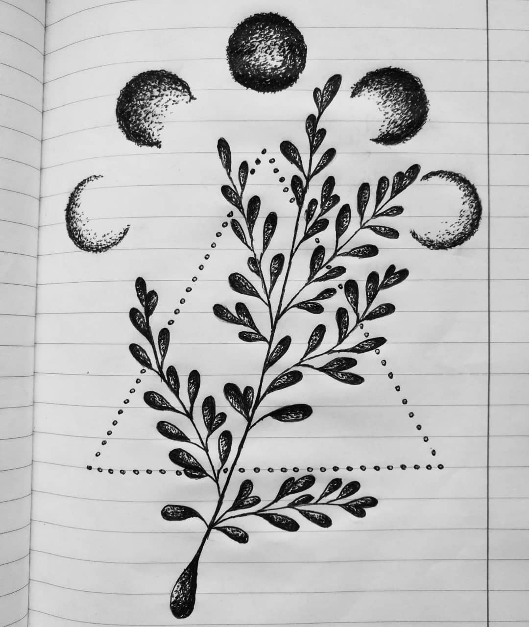 麹先生星球树叶纹手稿