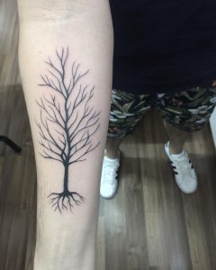 做美容顾问的臧先生小臂小树纹身图案