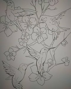 樱花蜂鸟纹身手稿