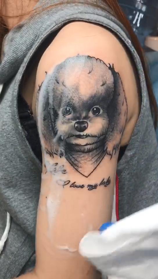 大臂狗狗肖像纹身图案已完成视频